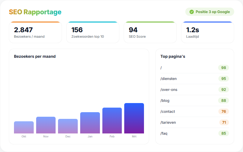 Voorbeeld SEO rapportage